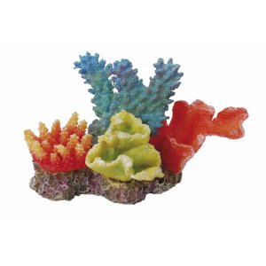 HAQUOSS REEF DREAM 6 - 11x6,5x7h cm